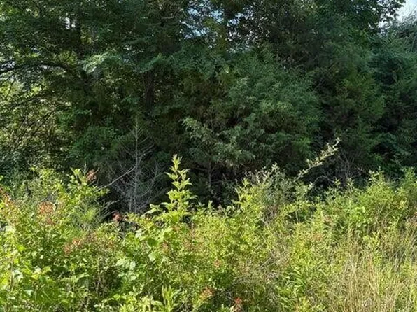 6 Old Furnace Rd, Tellico Plains, TN 37385