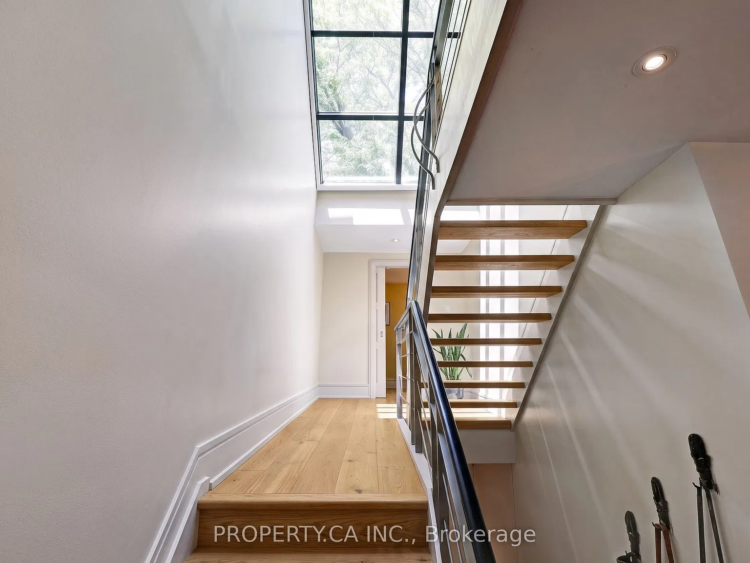 3 bed, $7,300 — Photo 4