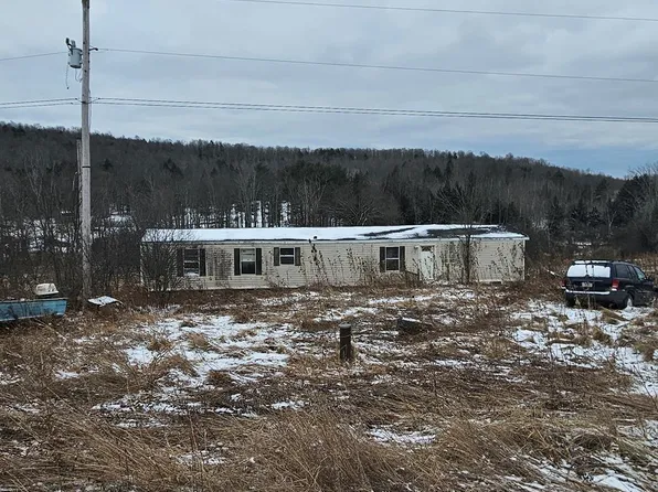 188 Borg Rd, Mansfield, PA 16933