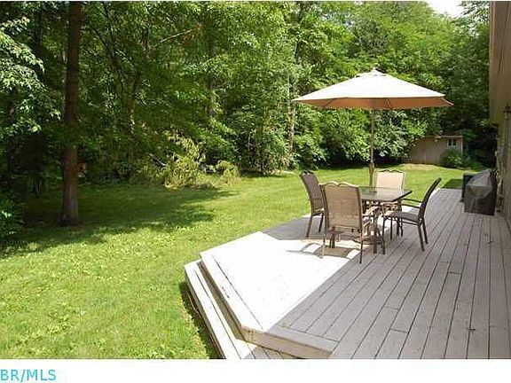 Beauty in the Woods!!!