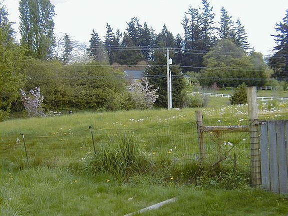 4th image of 4328 122nd Ave E