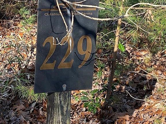 4th image of LOT 229 Meadow Crossing Ln Lot 229