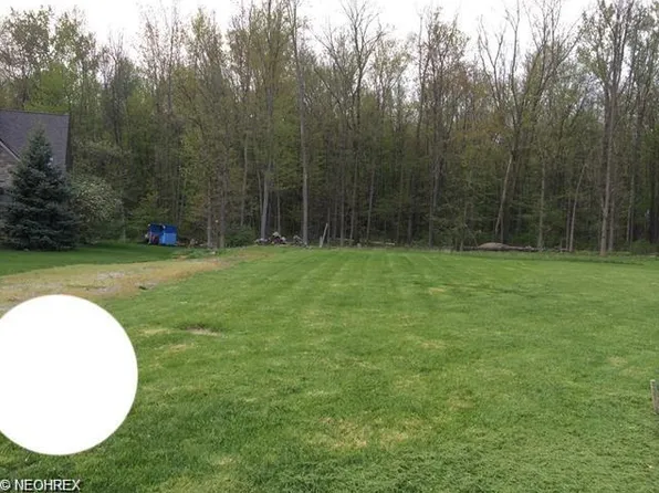 441 Rabbit Run Ln, Wellington, OH 44090