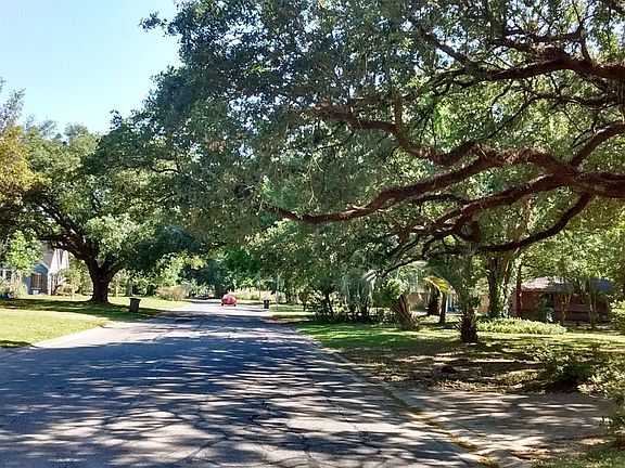 Beautiful streets and oak trees