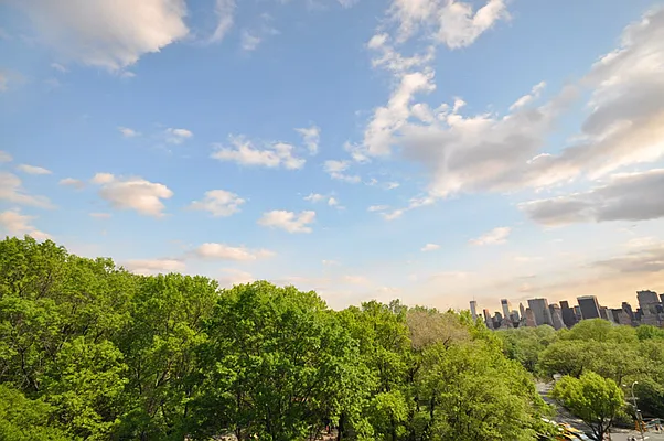 Sold by Carol E Levy | media 29