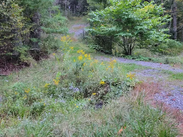 Raspberry Rd, Caldwell, WV 24925
