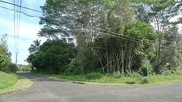 2nd image of Kumu St Lot 1