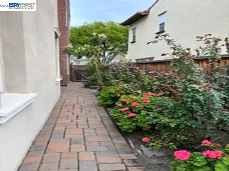 Sweetviolet Dr — Photo 14