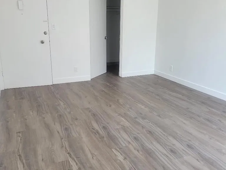 living room and sleeping area are one large room