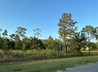 REYNOLDS PARKWAY LOT 241244, ORLANDO, FL 32833