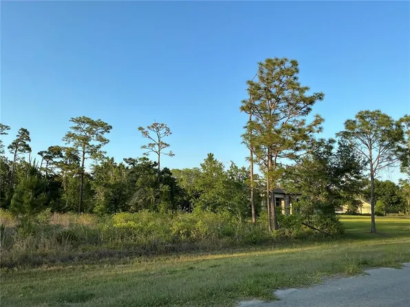 REYNOLDS PARKWAY LOT 241244, ORLANDO, FL 32833