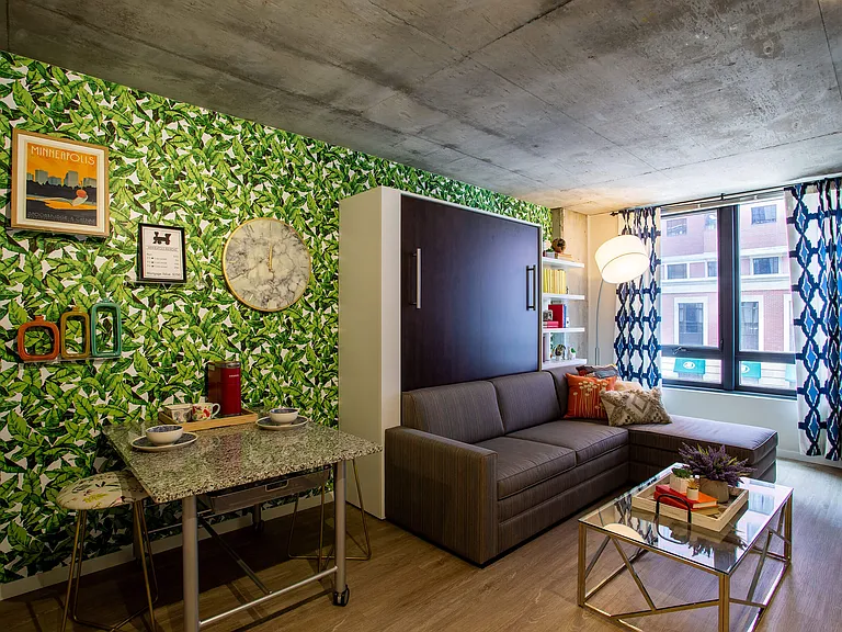 Studio Unit with Murphy Bed