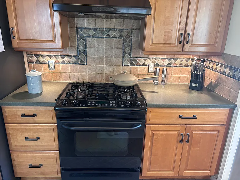 7336 Howard Ct — Photo 5