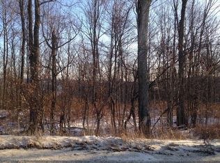 Park Hill Rd, Erin, NY 14838