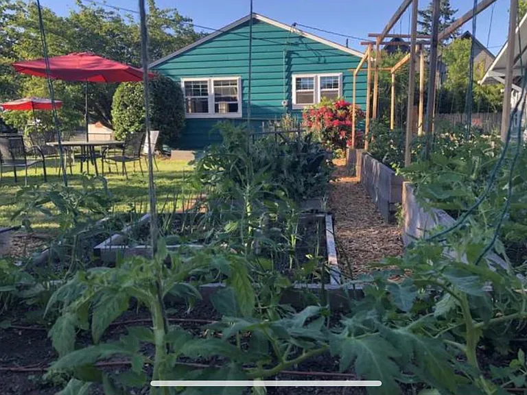 Eight raised garden beds
