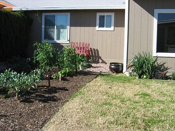 Back Yard and Garden