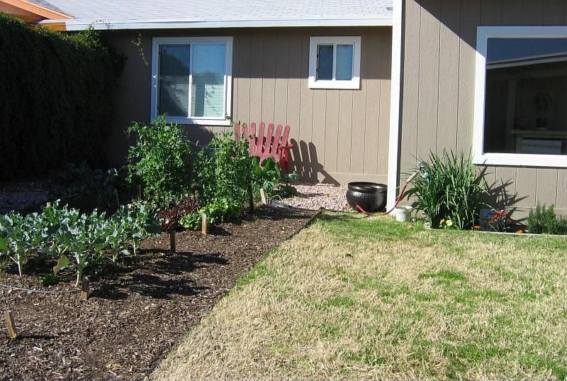 Back Yard and Garden