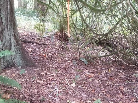 3rd image of 16313 258th Ave SE
