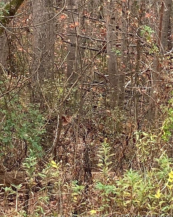1st image of 1333 Caldwell Williams Rd