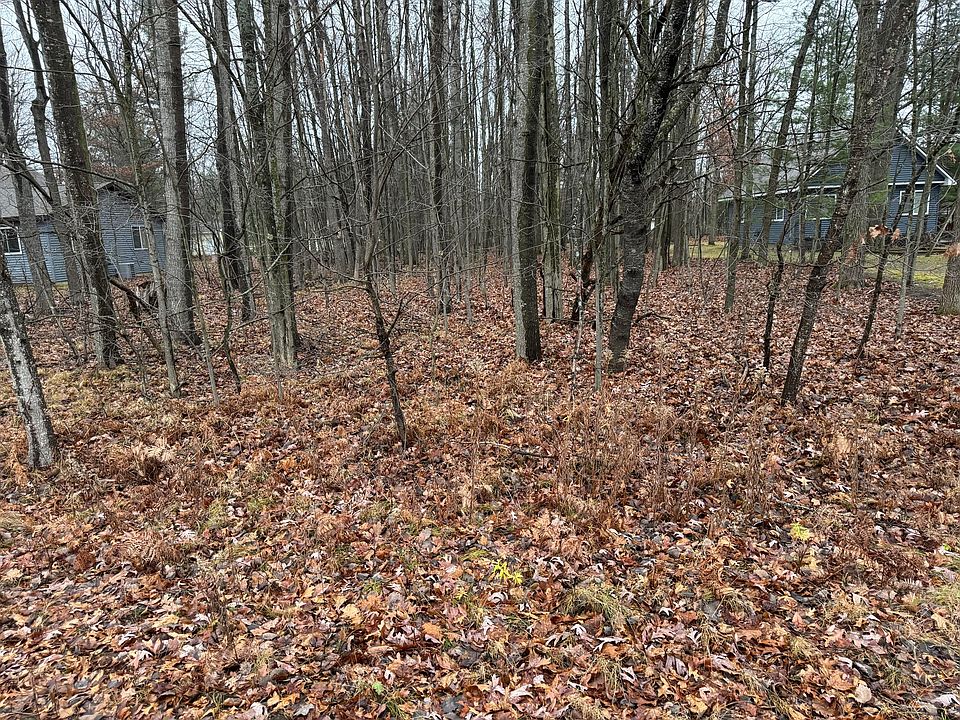 1st image of 237 Goldenrod Dr