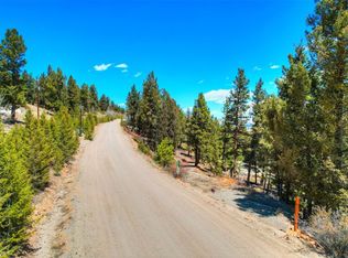 3888 Middle Fork Vis, Fairplay, CO 80440