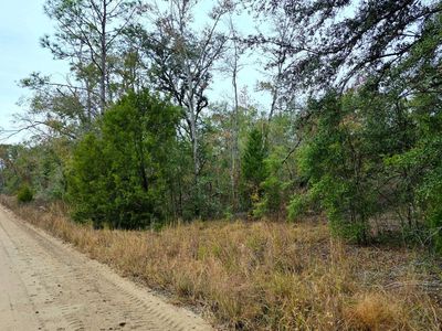 14th Ter LOT 55, Live Oak, FL, 32060