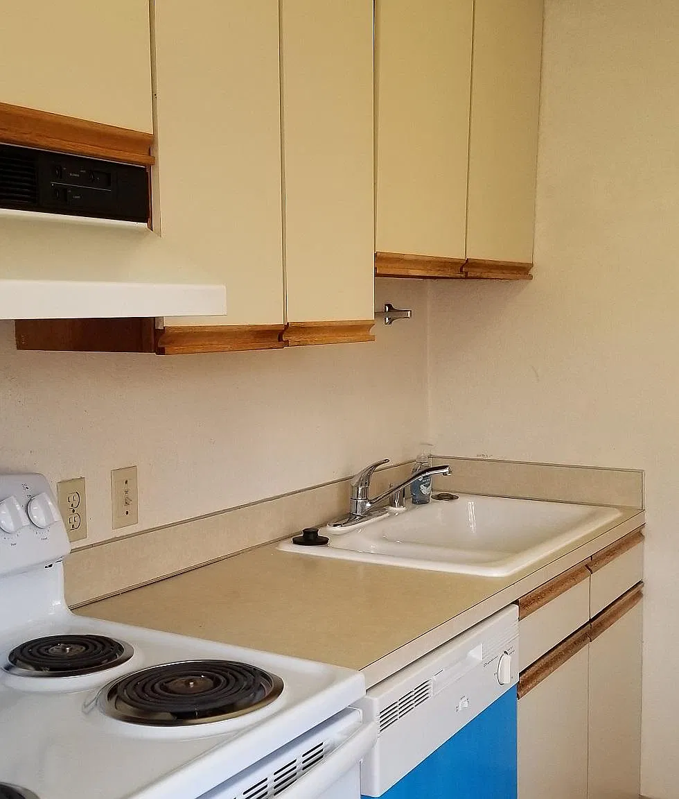 3 bed, 1.5 bath, $2,650 — Photo 3