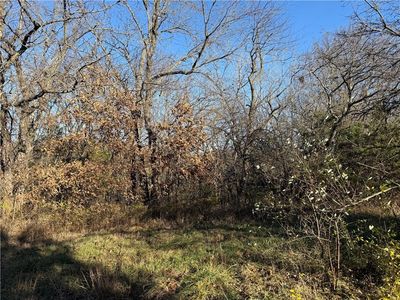 LOT 2349 Neptune Ct, Gallatin, MO, 64640
