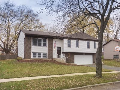 317 Round Hill Ct, Bolingbrook, IL, 60440