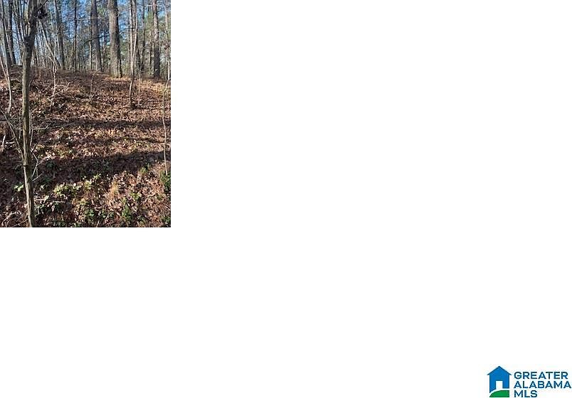 2nd image of Pluto Cir #21