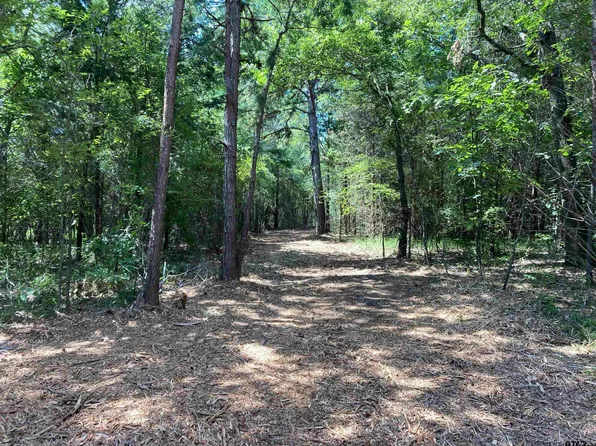 17756 Turner Cir, Tyler, TX 75704