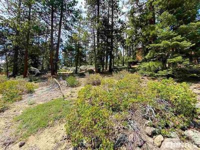 254 Sherwood Ct, Stateline, NV, 89449