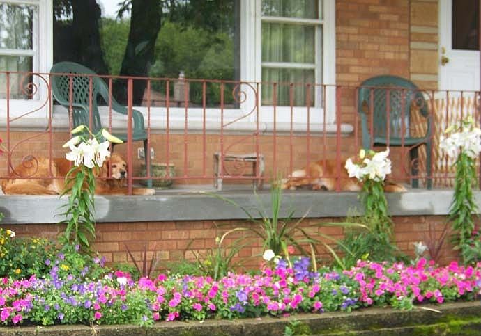 Front of House w/full porch