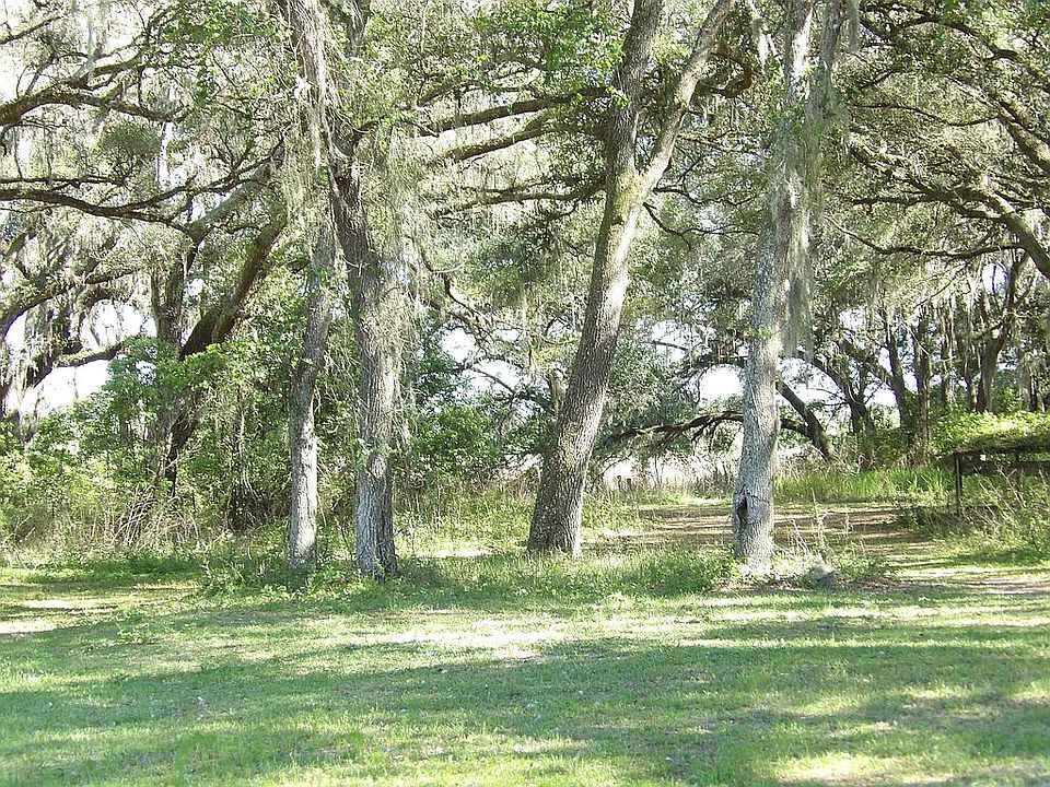 Live under the old oak trees
