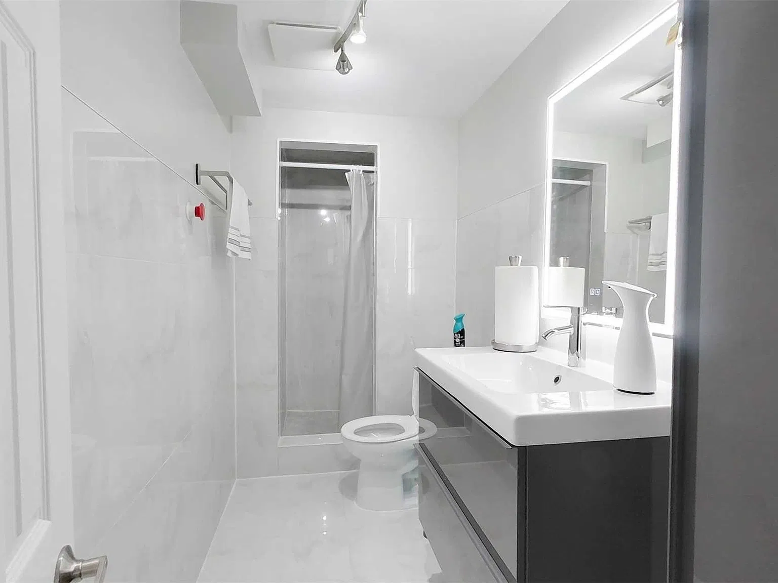 1 bed, 1250 sqft, $1,850 — Photo 3