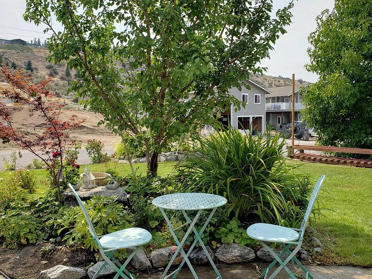 Front yard with apricot and apple trees