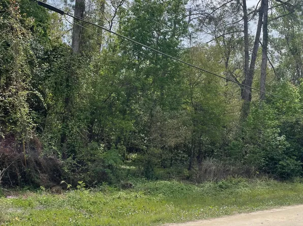 106 BOWFIN Drive, Palatka, FL 32177