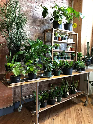 Rented by Corcoran | media 11