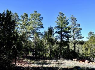2981 Ranch House Rd LOT 304, Overgaard, AZ 85933
