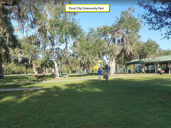 5th image of 12023 S Magpie Point