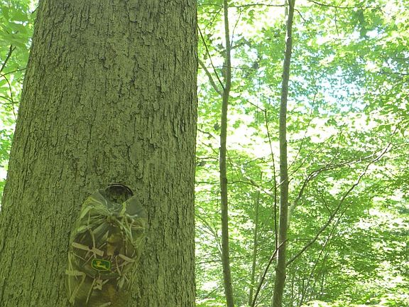 4th image of Black Creek Road