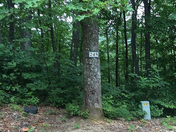 5th image of 245 Beautyberry Ct