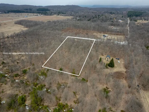 S Drew Rd, Empire, MI 49630