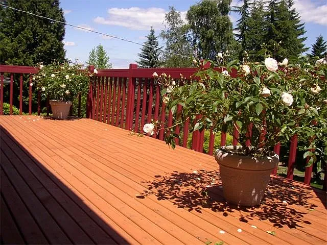 9005 45th Ave NE — Photo 13