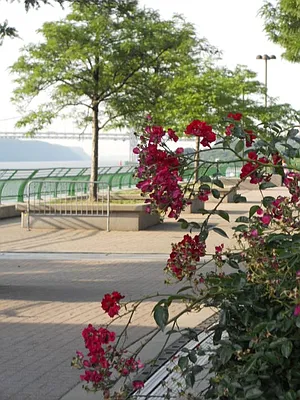 Sold by Willie Kathryn Suggs, LREB | media 27