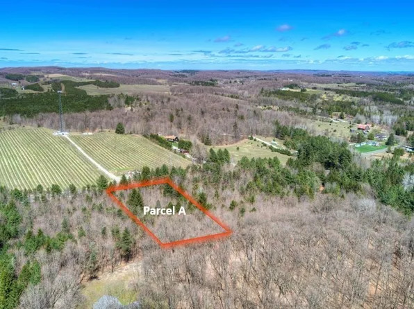 PARCEL E Bodus Rd #A, Cedar, MI 49621