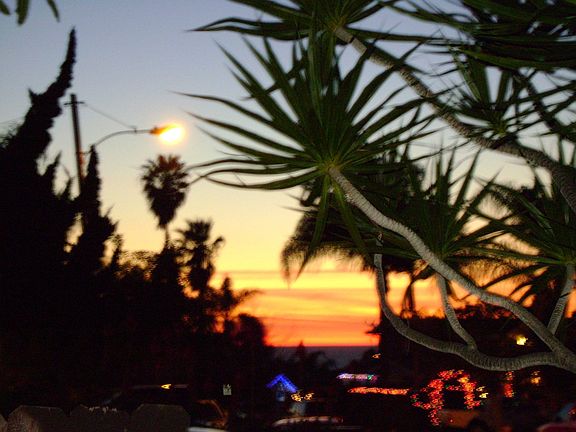 View of the ocean from the front yard