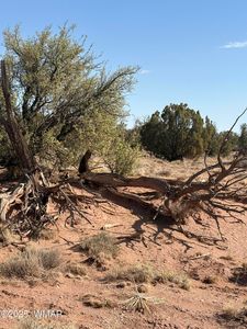 8580B Lawson Ln, Snowflake, AZ, 85937