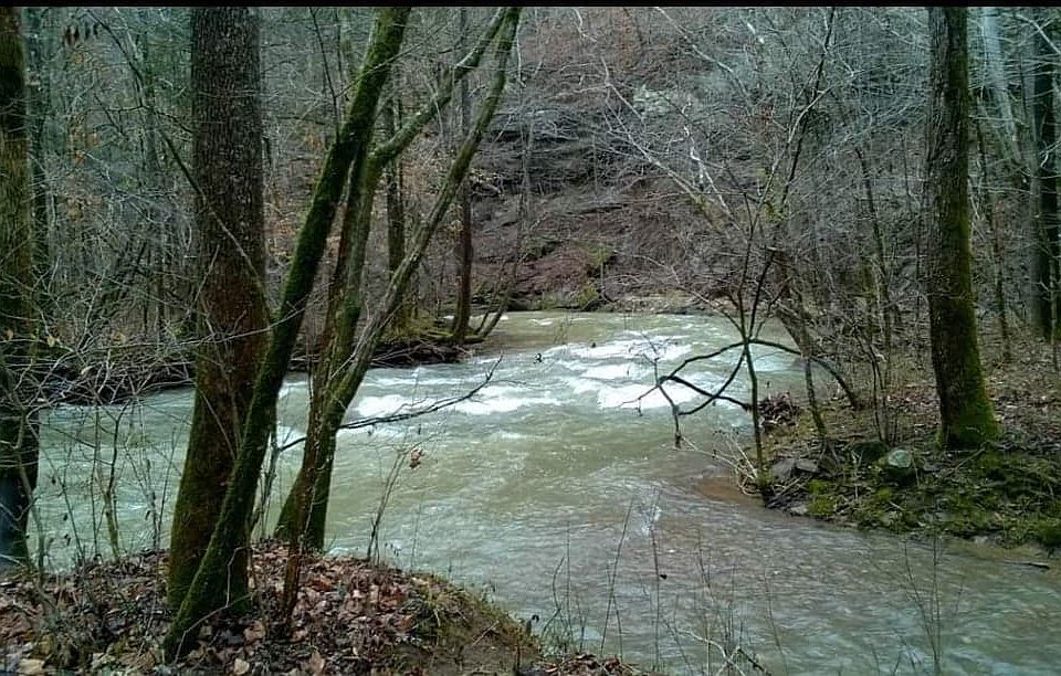 Little crab creek on site. 