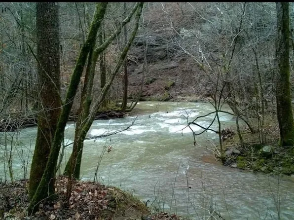 221 Cedar Grove Rd, Jamestown, TN 38556